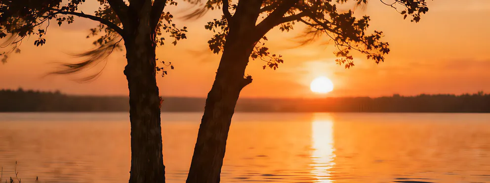 Hast du deine Dualseele schon gefunden? Finde es hier heraus!